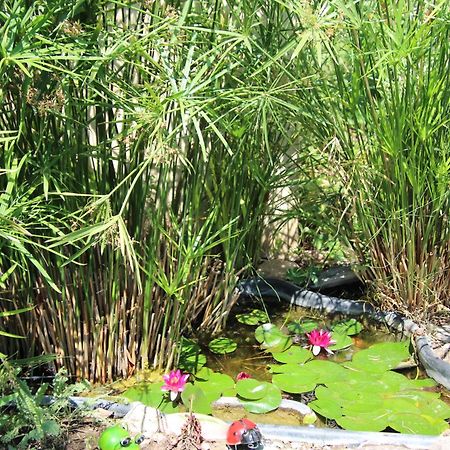 Le Mas Cothy En Provence 罗克莫尔 外观 照片