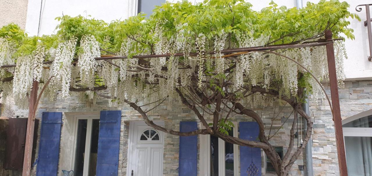 Le Mas Cothy En Provence 罗克莫尔 外观 照片