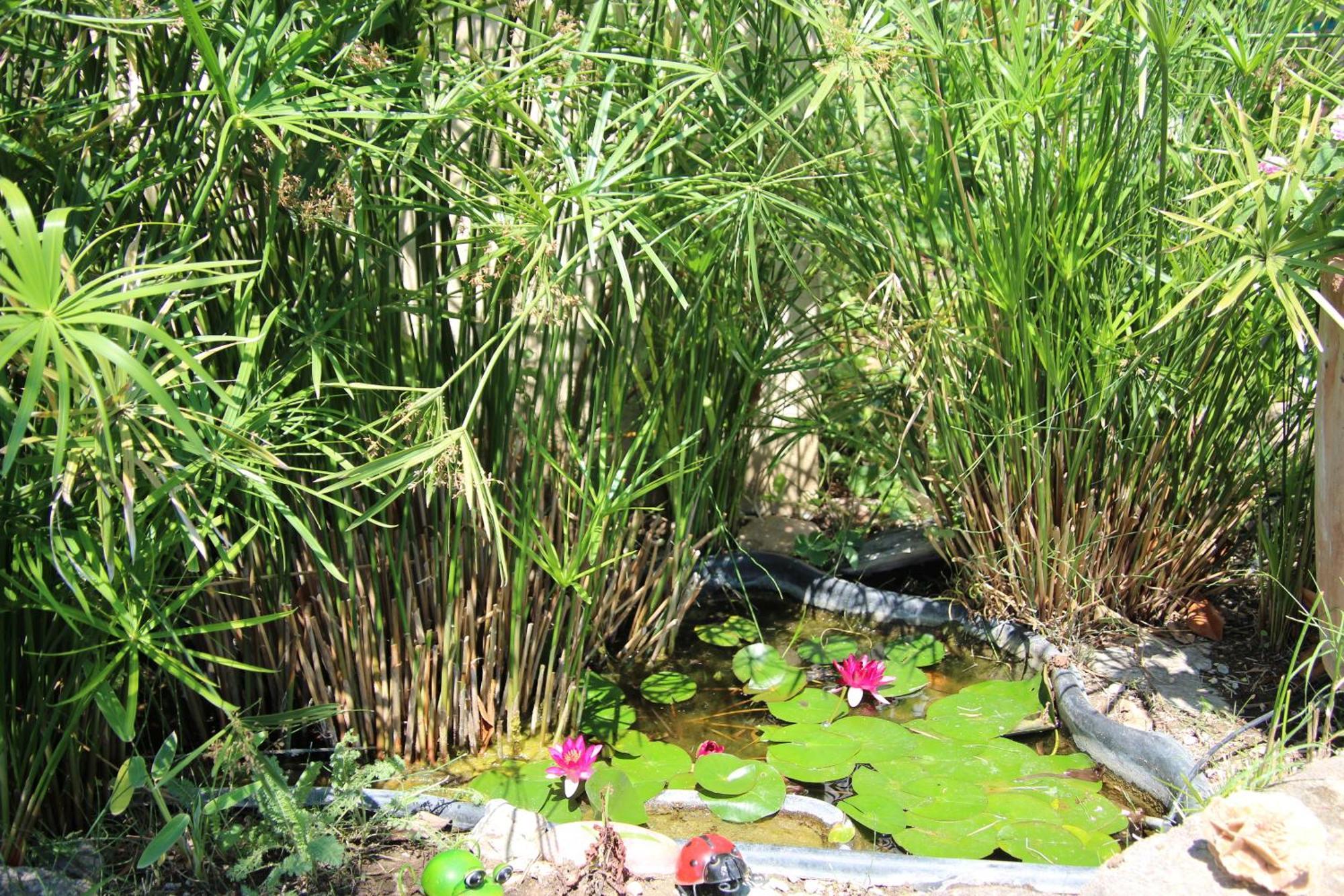 Le Mas Cothy En Provence 罗克莫尔 外观 照片