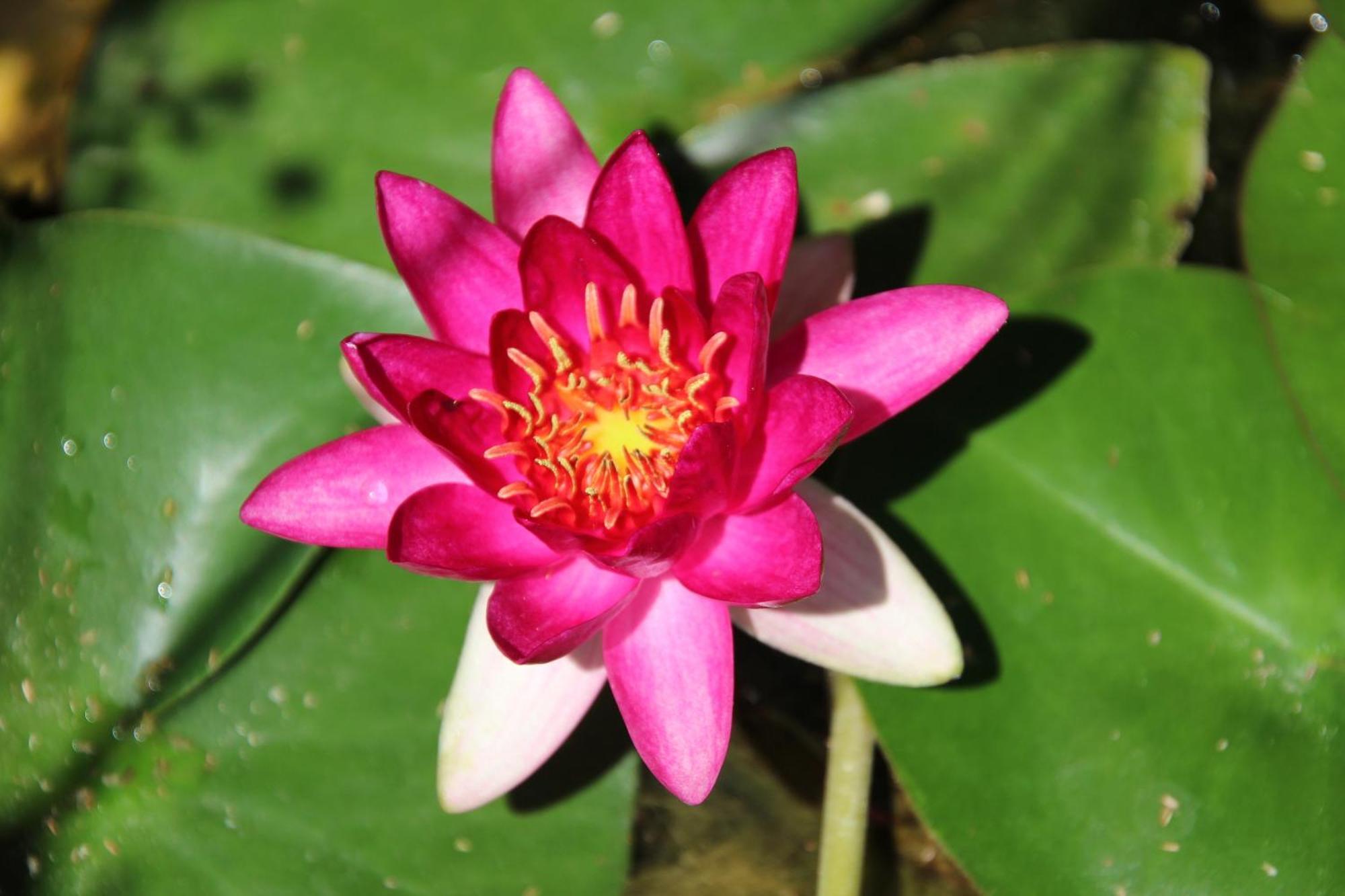Le Mas Cothy En Provence 罗克莫尔 外观 照片